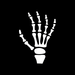 Ícone RX